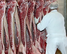 Депутати пропонують з 2020 року заборонити реалізацію м'яса, отриманого на несертифікованих бойнях